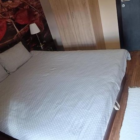 Apartment Vila Sandra Zlatibor Ngoại thất bức ảnh